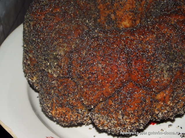 DSCF8347.jpg