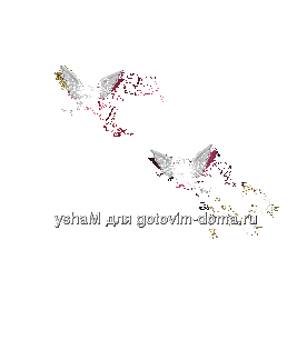 5475744_294461_2866114.gif