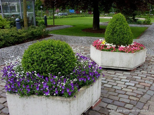DSCI0008.JPG