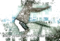 182[2].gif