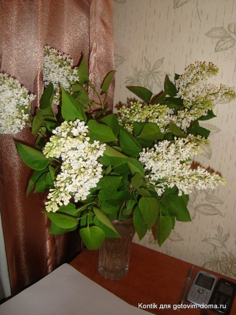 DSC00792.JPG