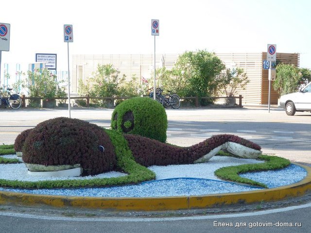 P1010535.JPG