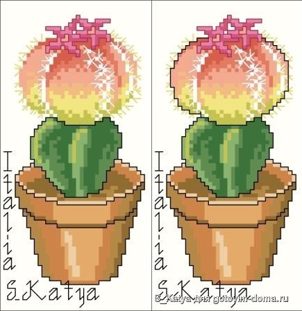 4 кактуса.jpg