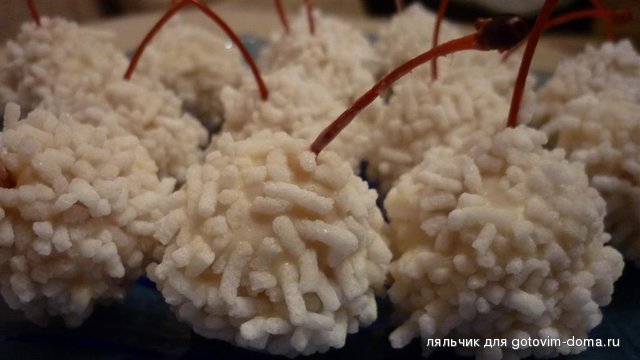конф вишн близ (Большой).JPG