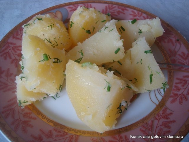 DSC01857.JPG