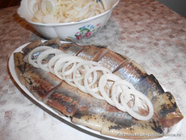 DSCN4101.JPG