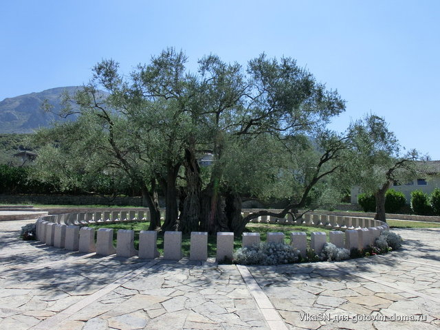 CIMG0425.jpg