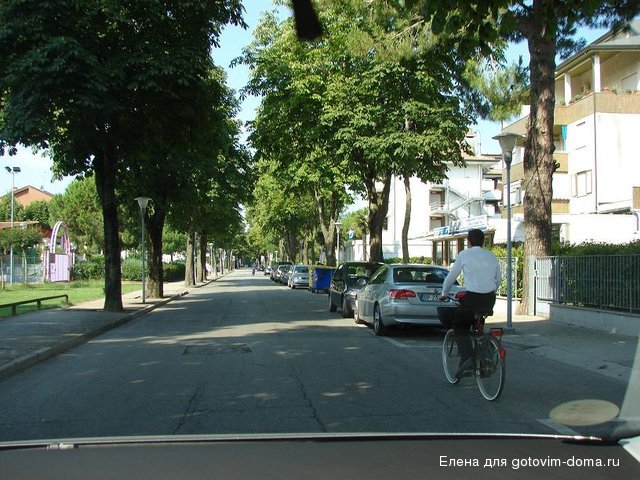 DSC00500.JPG