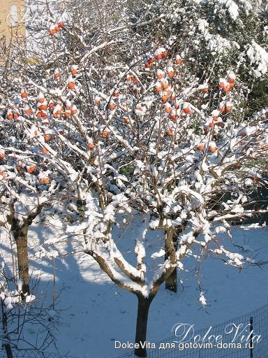 05.JPG