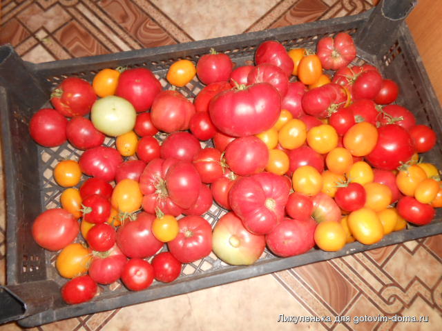 DSCN4167.JPG