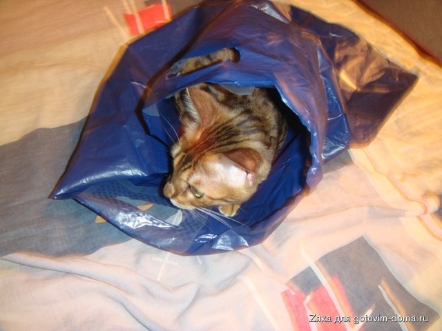 DSC07070.JPG