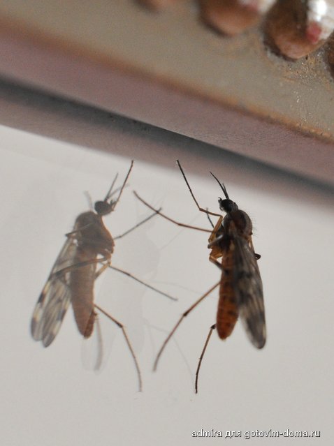 DSC_0013.jpg