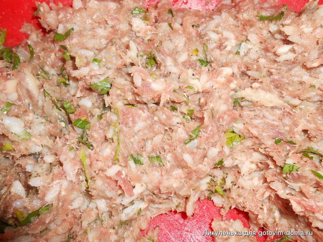 DSCN1284.JPG