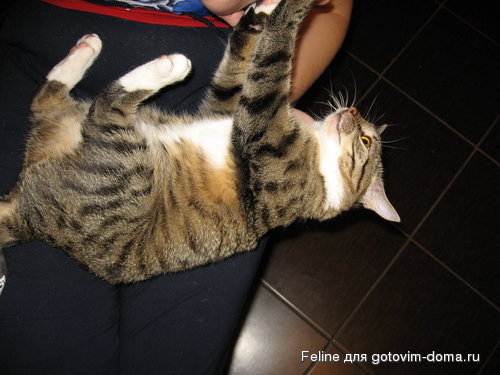 111 004_resize.jpg