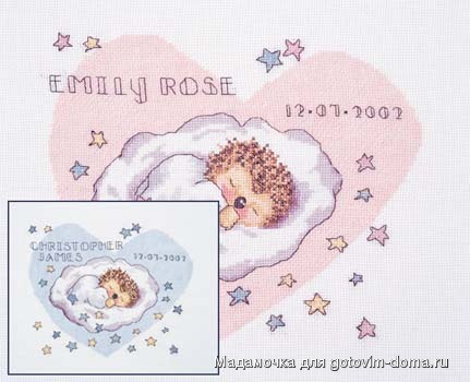 DMC K4417 Baby Birth Sampler.jpg