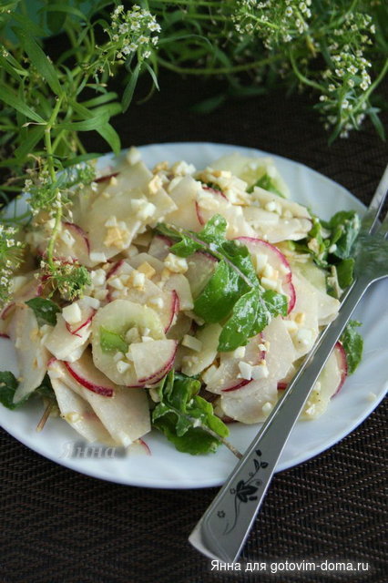 Баварский салат с редиской, редькой и яично-горчичной запрaвкой.jpg