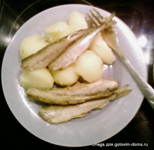 SP_A0506.jpg