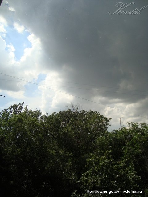 DSC08197.JPG