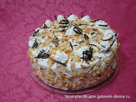 Mandarinen Torte.jpg