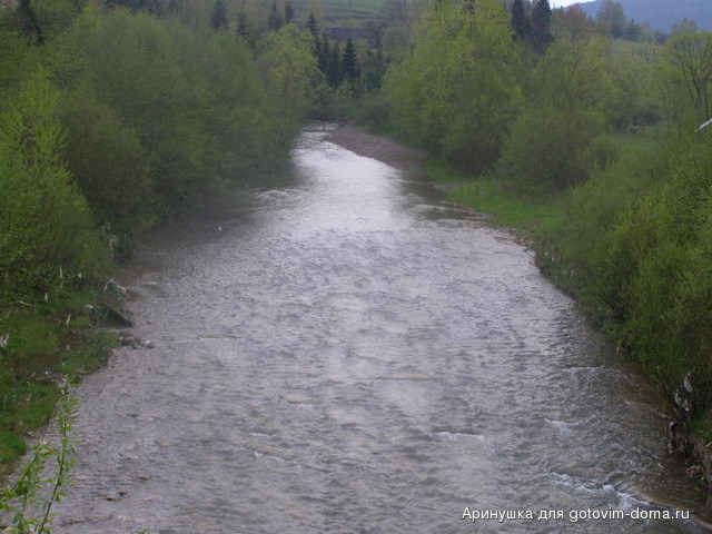 P5010102.jpg