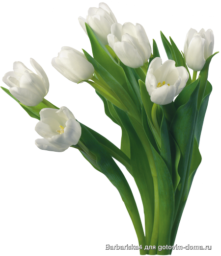 871210a6c841.png