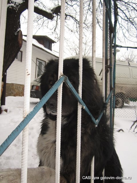 Изображение 040.jpg