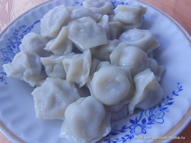 DSCN5060.JPG