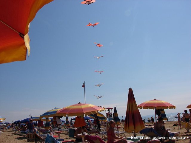 DSC00188.JPG