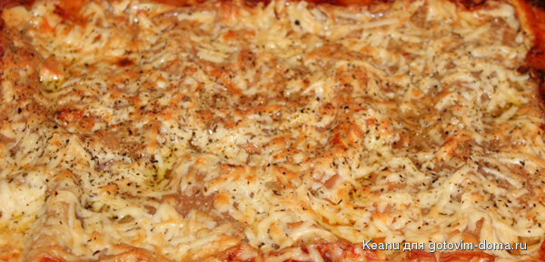 lasagne-ready.jpg