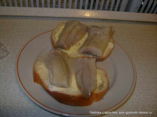 DSC08929.JPG
