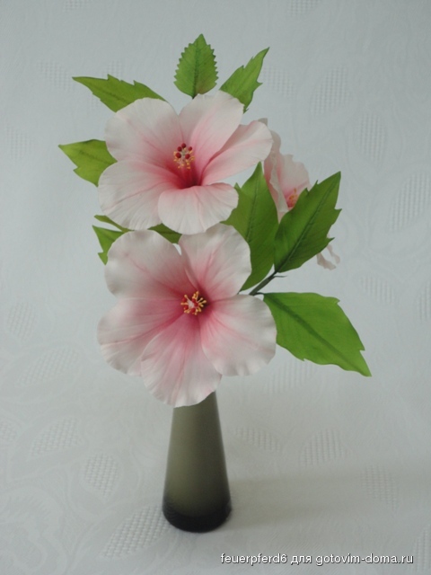 DSC06606 - Kopie.JPG