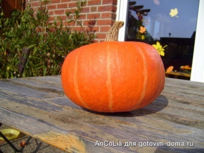 pumpkin-hokaido-still-life_w725_h544_400.jpg