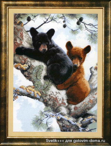 за шишками.jpg
