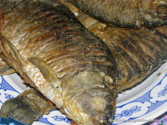 P6100288.jpg