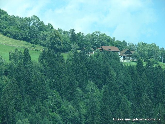 DSC00578.JPG