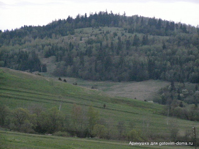 P5010133.jpg