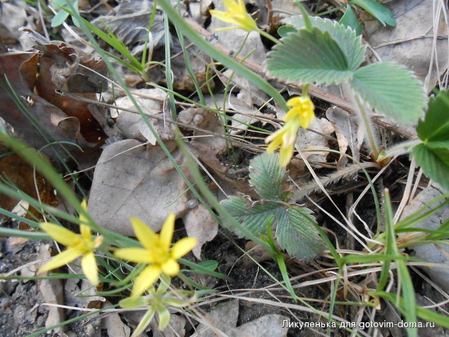 DSCN0319.JPG