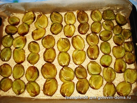 pflaumenkuchen1.jpg