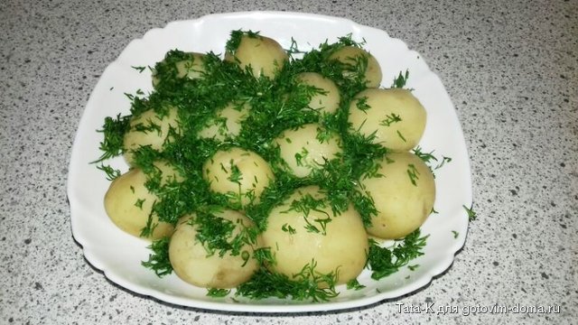 Молодой картофель с укропом.jpg