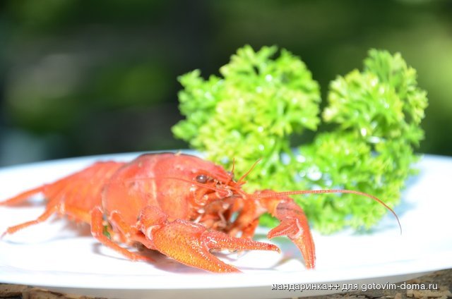 DSC_8957.JPG