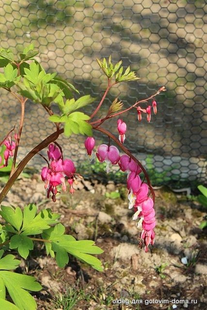 2014_04_20_9999_199.jpg