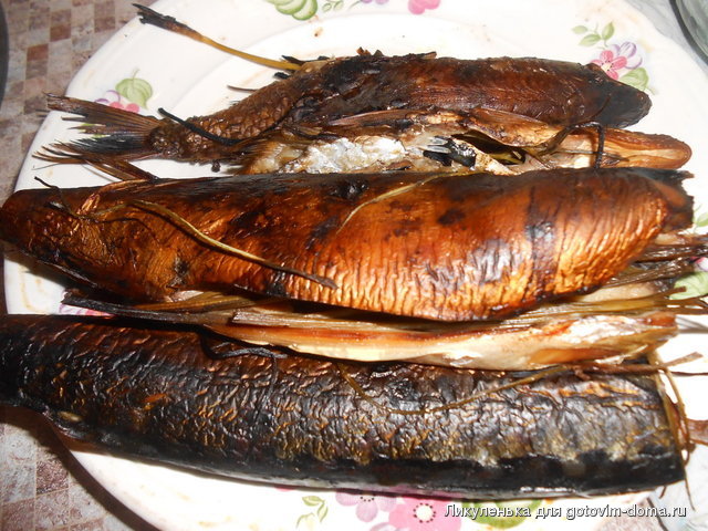 DSCN1445.jpg