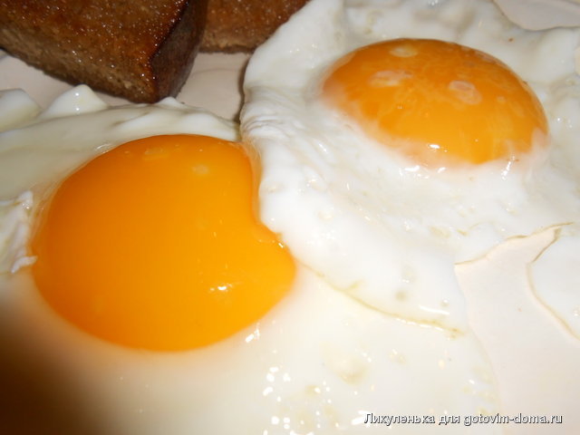 DSCN2803.jpg
