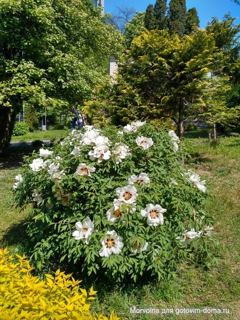 IMG_20170507_113611_HDR.jpg