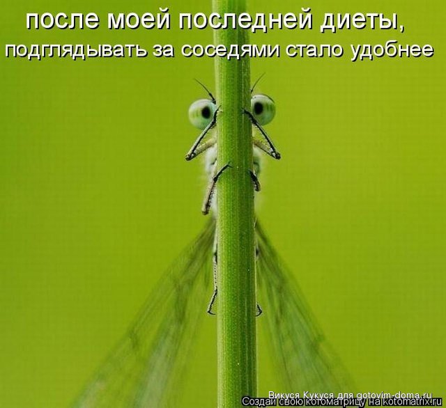 диета.jpg