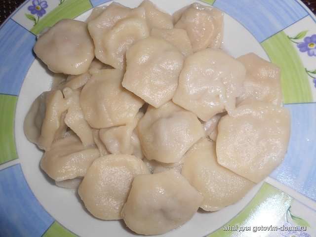 DSCN6047.JPG