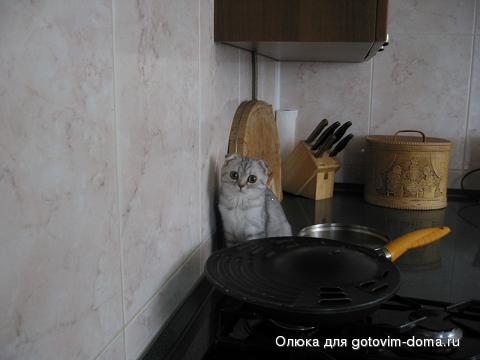 IMG_5398 котик.JPG