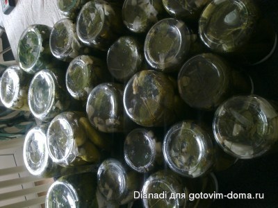 15 (400 x 300).jpg