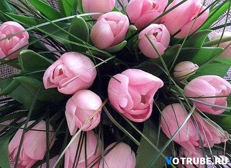1243799105_krasivye-cvety-(www.votrube.ru)18[1].jpg