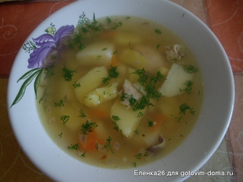 IMGP1526.JPG